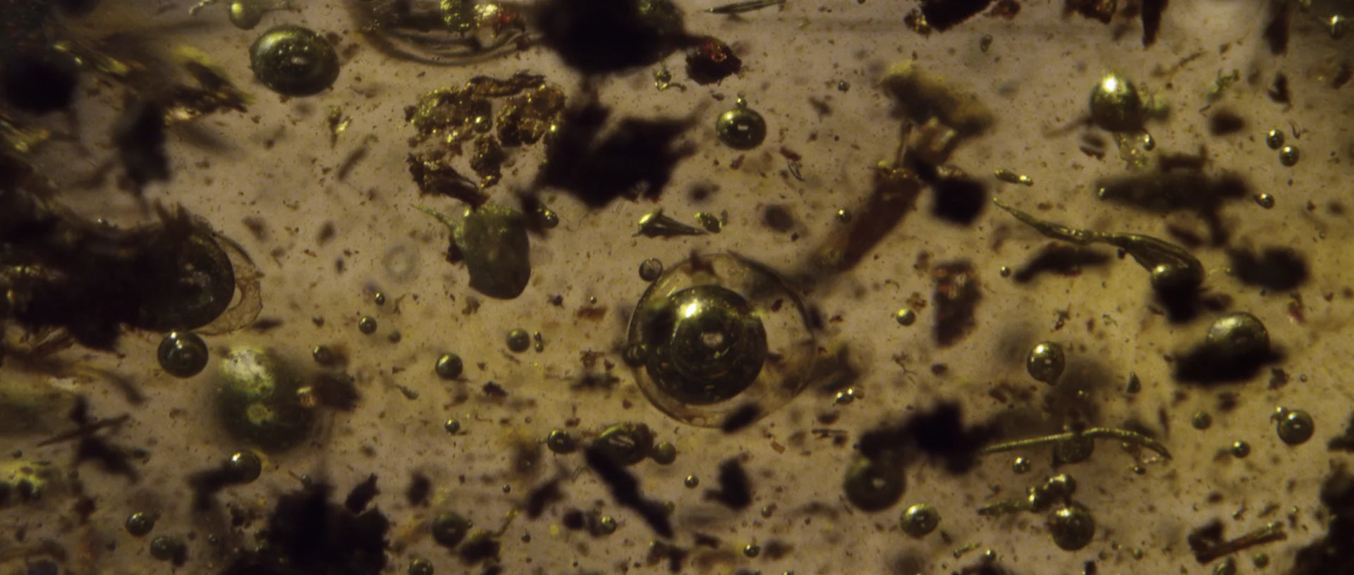 pierre huyghe, from 'IN. BORDER. DEEP', hauser & wirth london, 2014, video still. © pierre huyghe, courtesy the artist, hauser & wirth, london and anna lena films, paris 