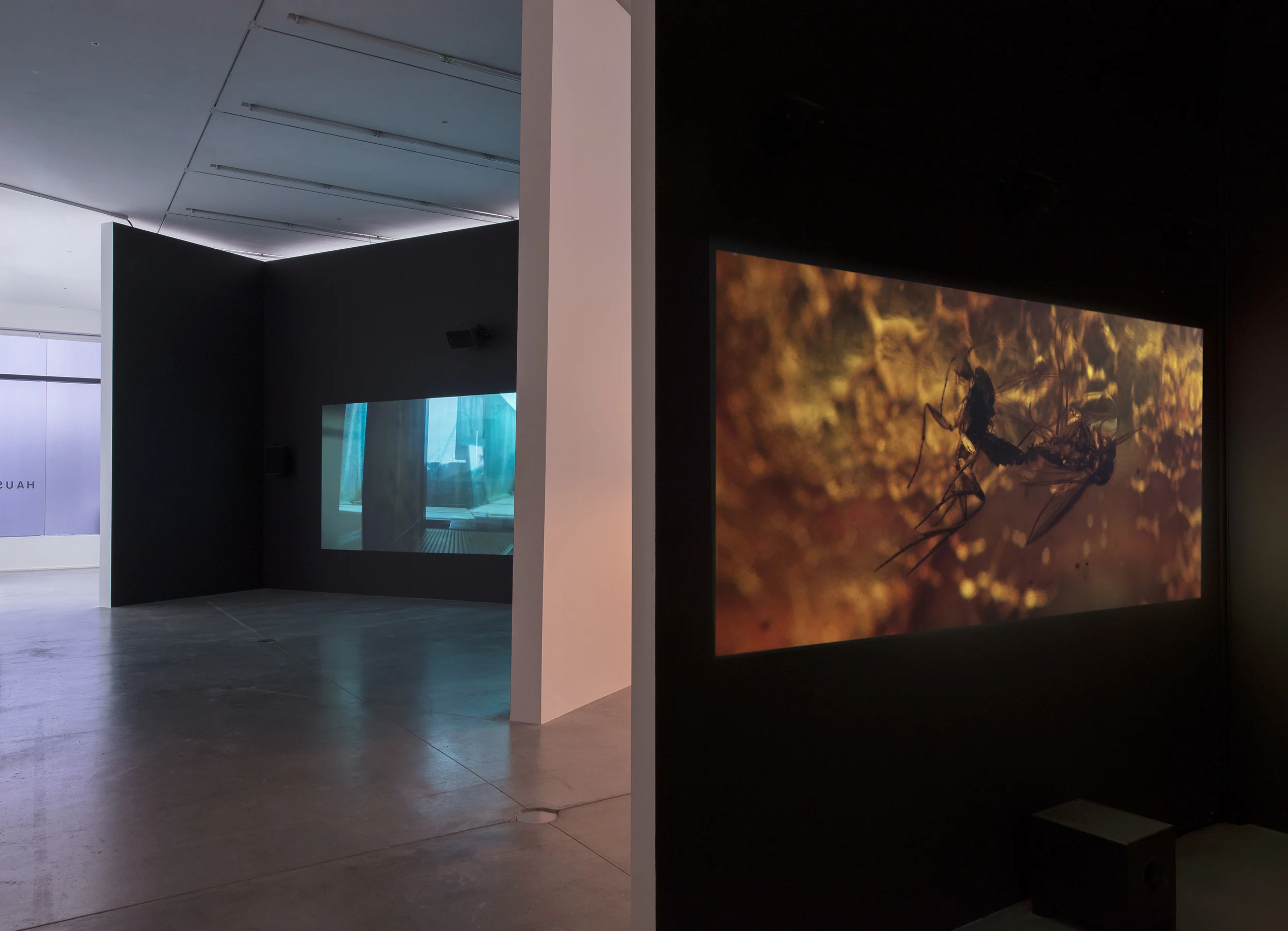 installation view, 'pierre huyghe. IN. BORDER. DEEP', hauser & wirth london, 2014 © pierre huyghe courtesy the artist and hauser & wirth, london. photography by hugo glendinning 