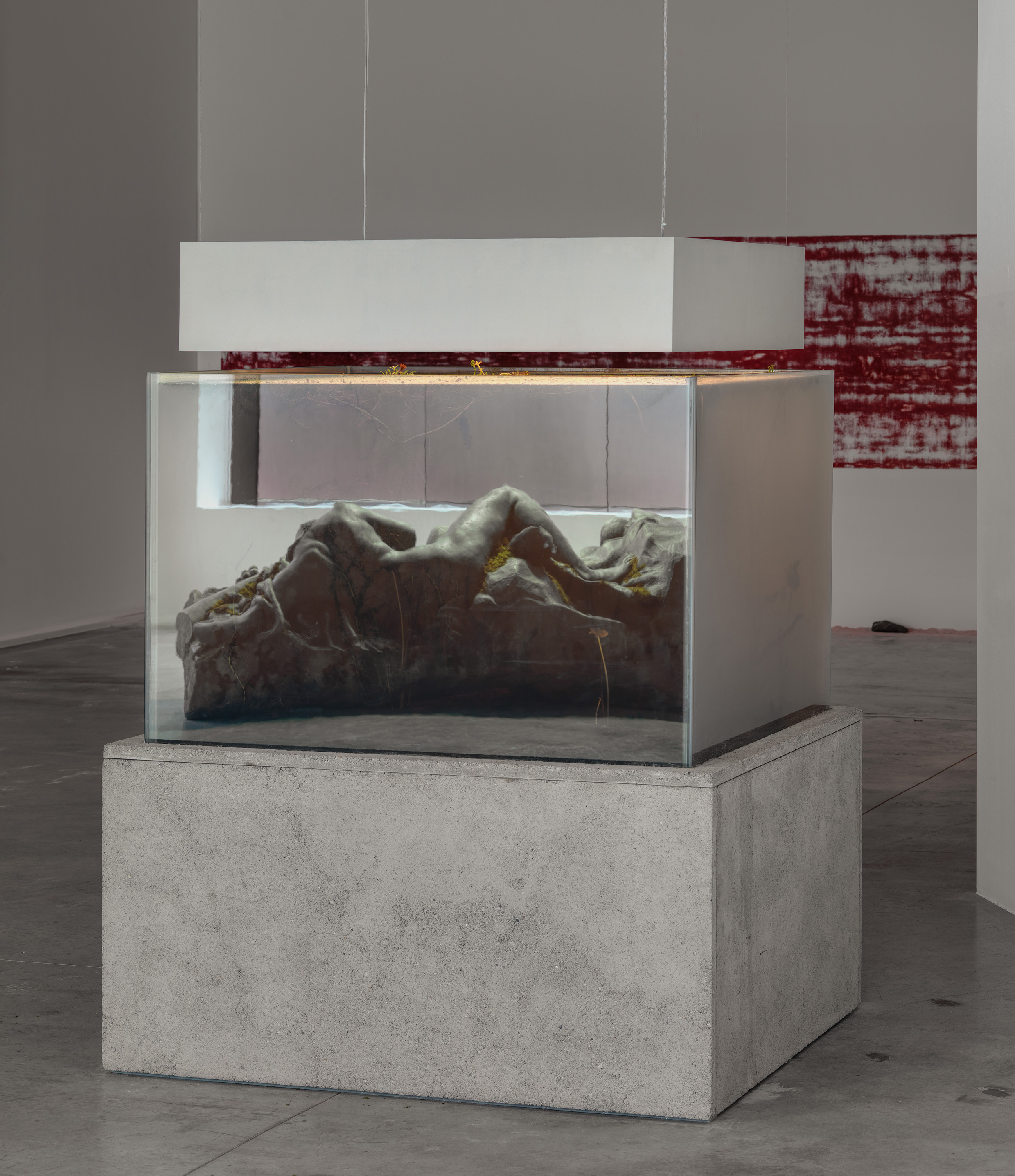 installation view, 'pierre huyghe. IN. BORDER. DEEP', hauser & wirth london, 2014 © pierre huyghe courtesy the artist and hauser & wirth, london. photography by alex delfanne