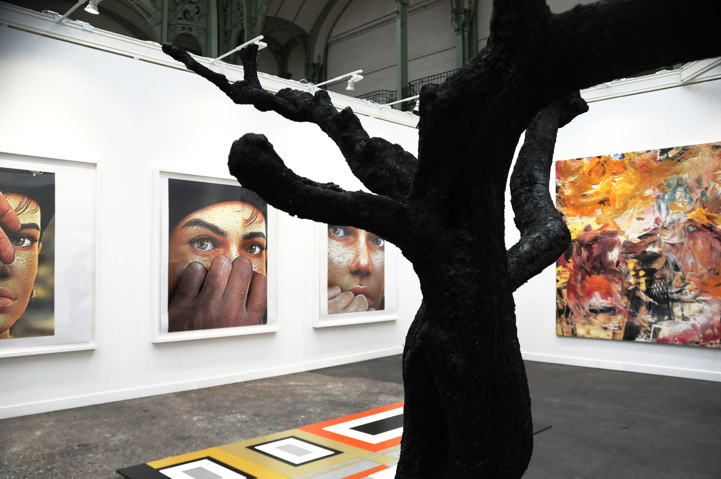 fiac 2014 photography by floriana castagna | S/TUDIO