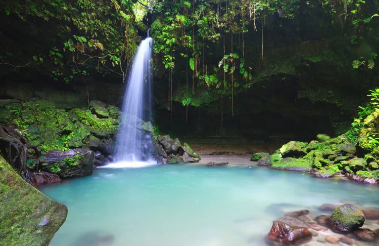 dominica.jpg