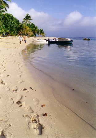 Beach_leleuvia.jpg