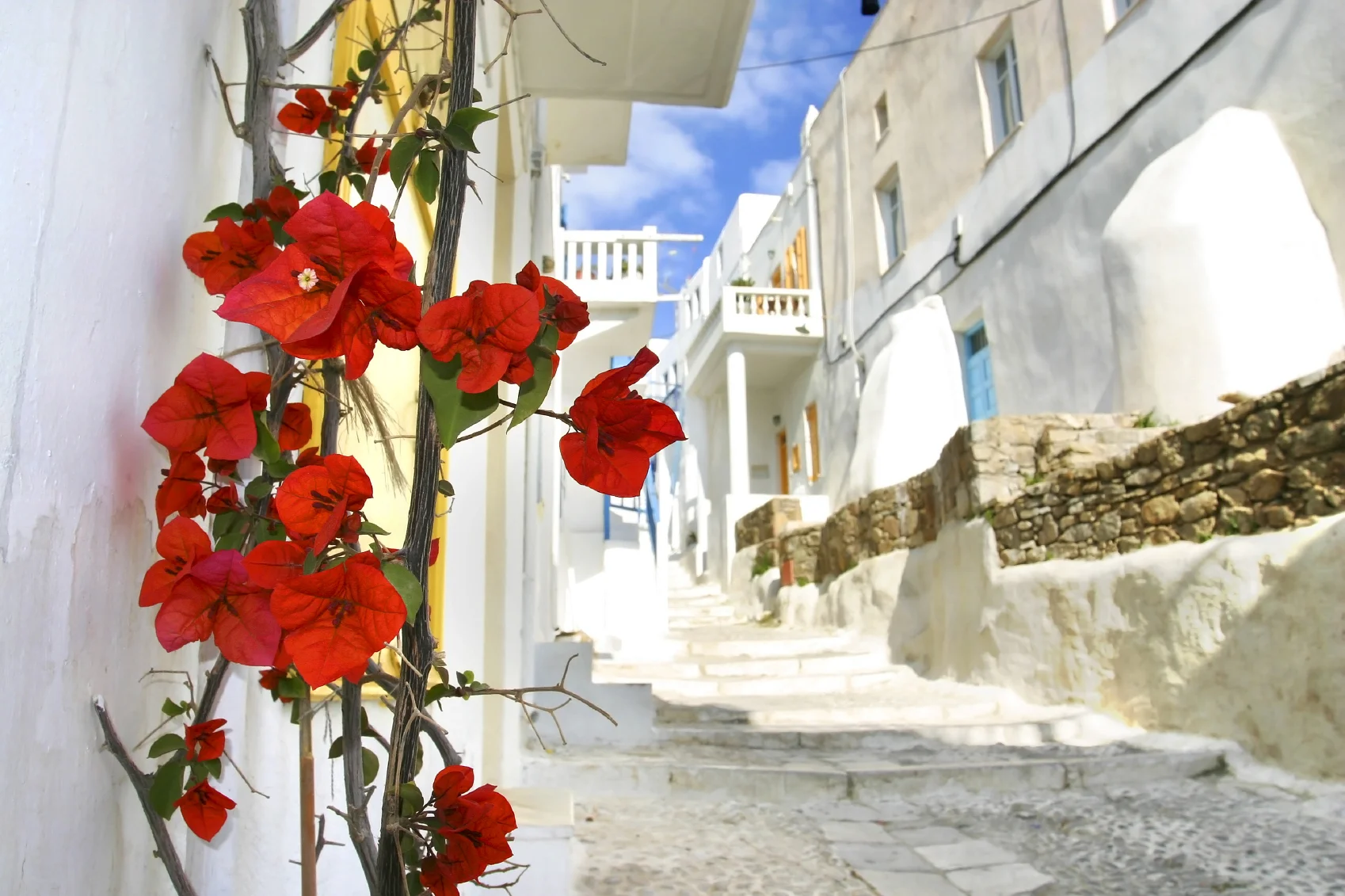 iStock_000003272147Medium.jpg