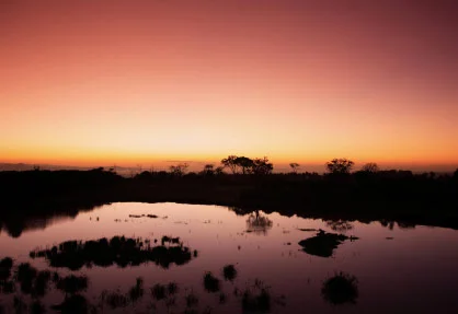sunset.jpg