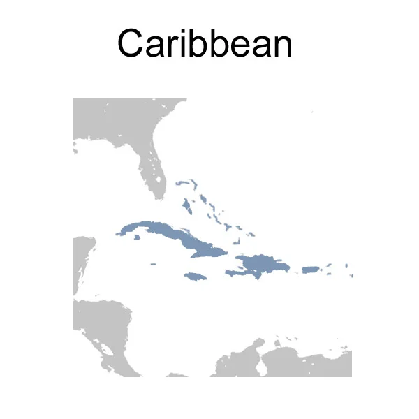 caribbean_adapter_kit.jpg