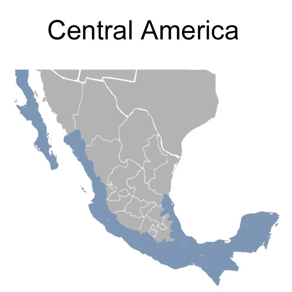 central_america_adapter_kit_copy.jpg