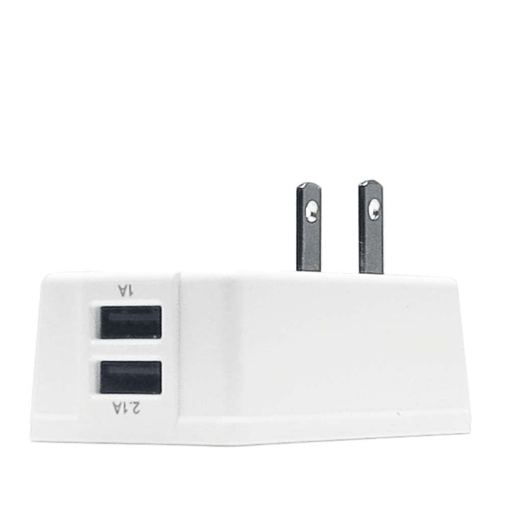 North America / Japan Adapter Plug with 2 USB Ports