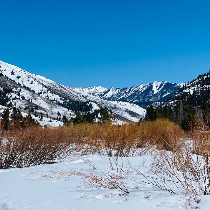 Longest ski of the year for me today. Great company (Hi @courtgilb!), perfect weather, beautiful views.