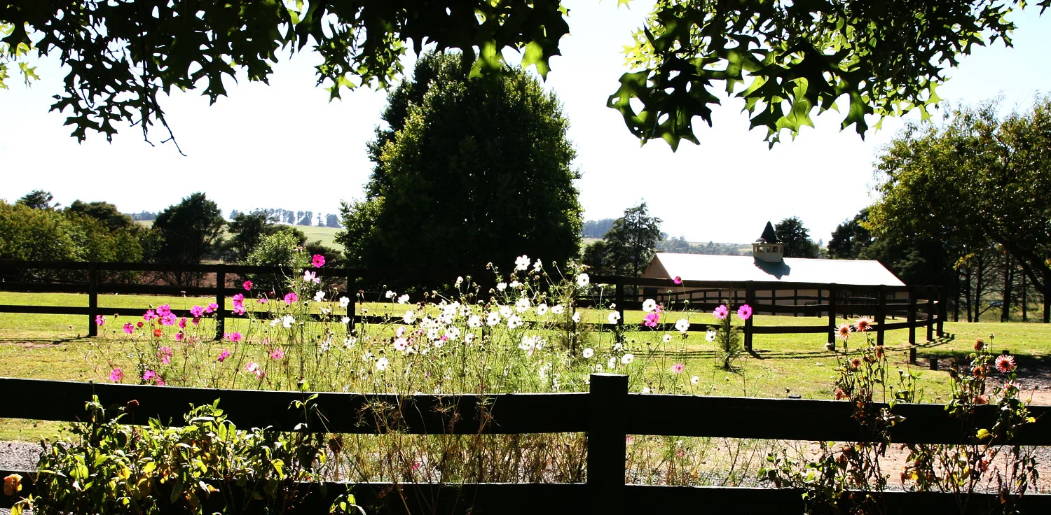 spring-water-farm-gallery-20.jpg