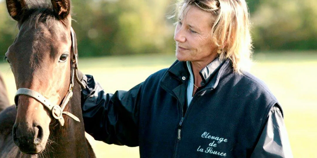 Thoroughbred Boarding School
