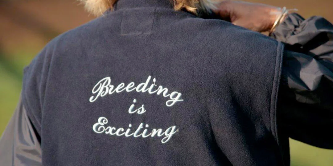 Thoroughbred Boarding School 3