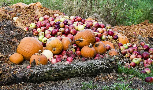 Yummy Fall Recipes You can Feel Good About