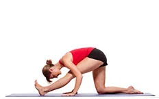 HalfSplits.jpg
