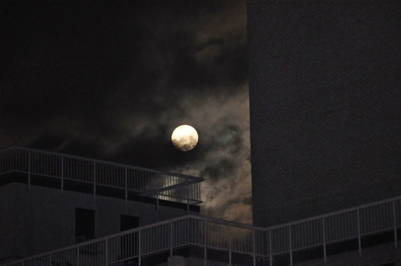 moon.jpg