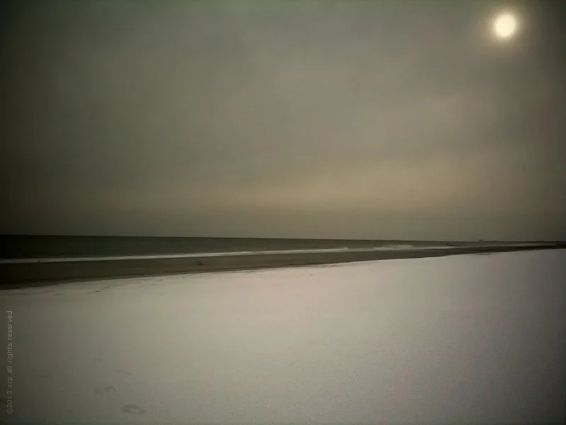 frosebeachportfolio.jpg