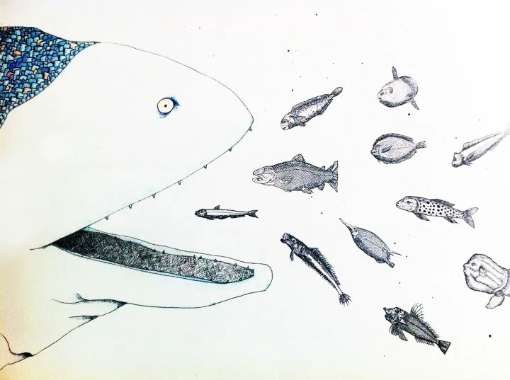 big fish.jpg