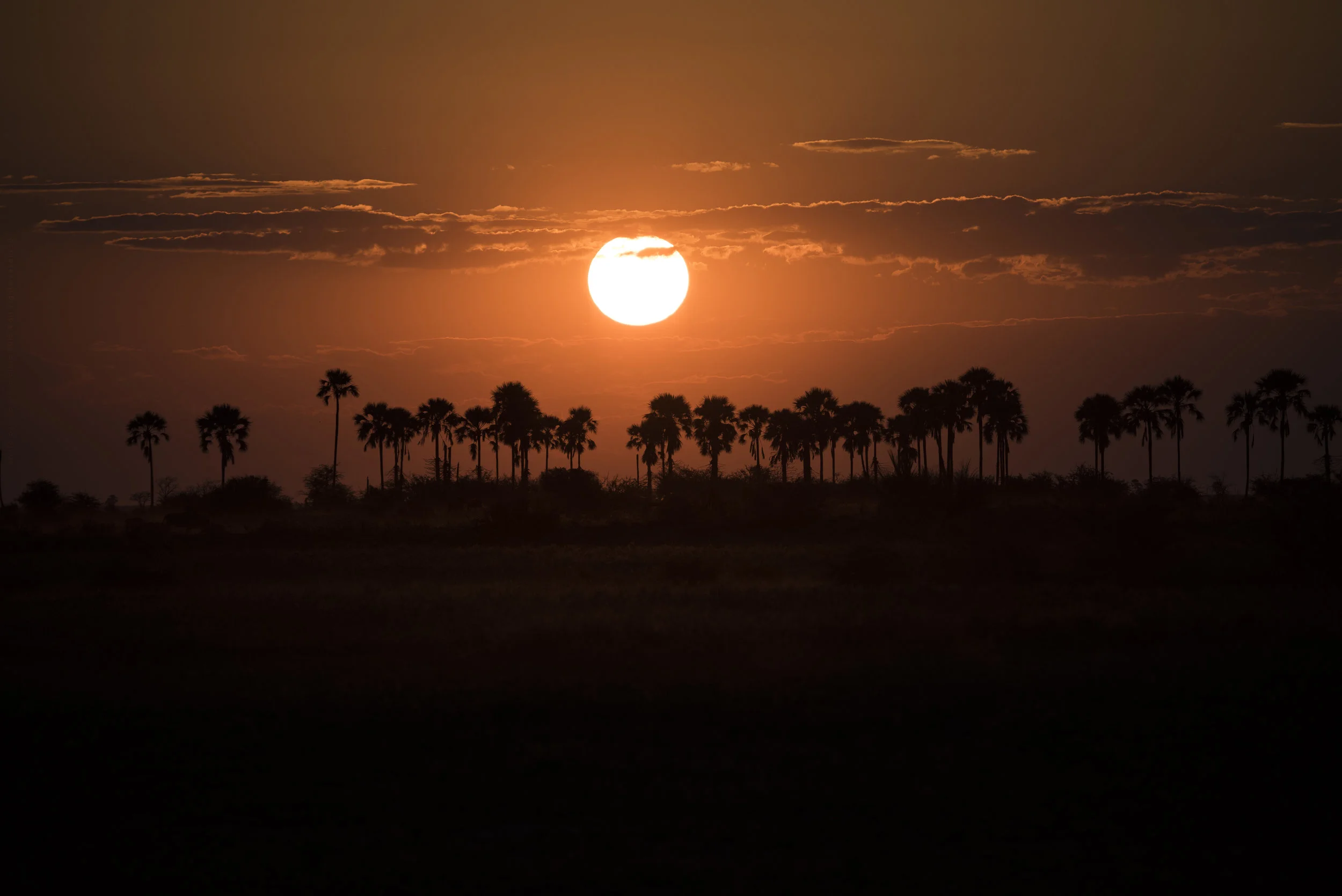 Okavango Delta - Botswana