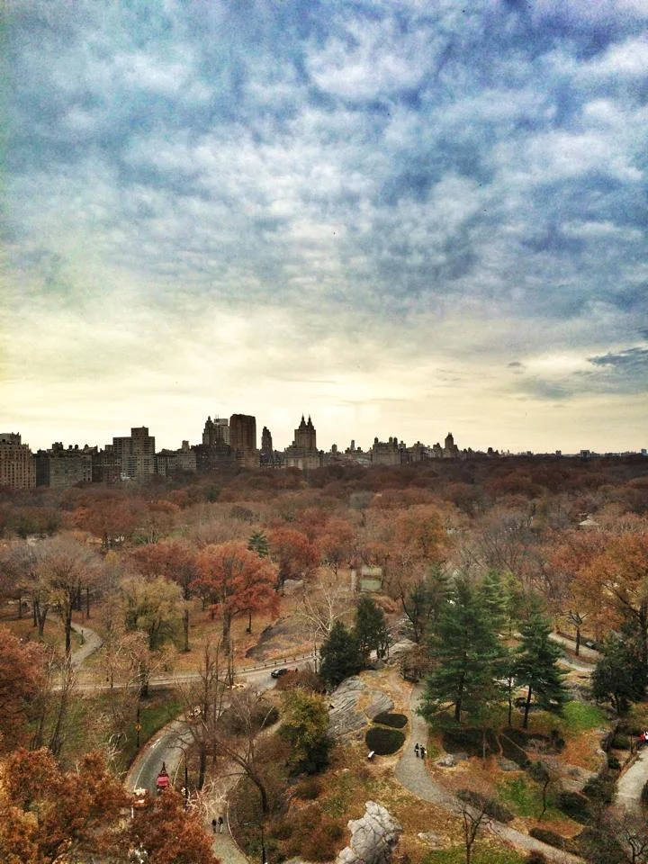central park fall.jpg
