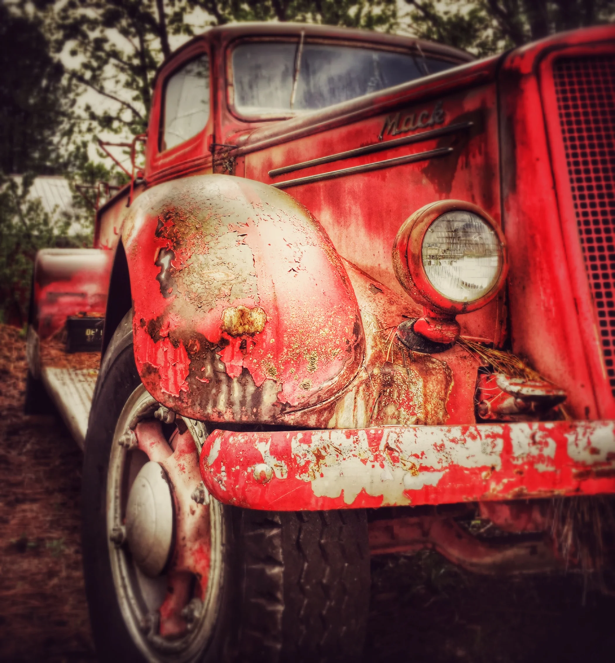 Abandoned Red | 2014