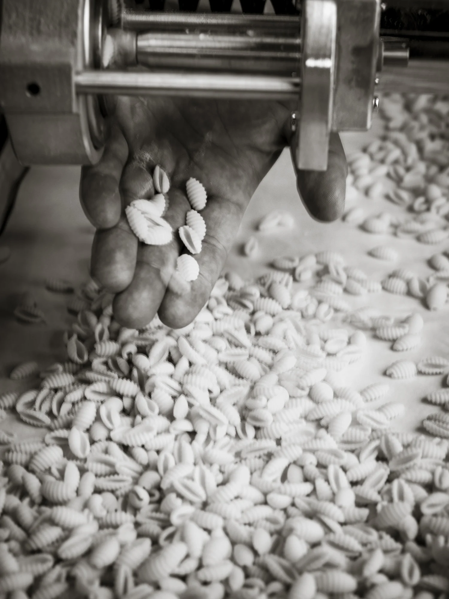 More Pasta Label-134F_WS.jpg