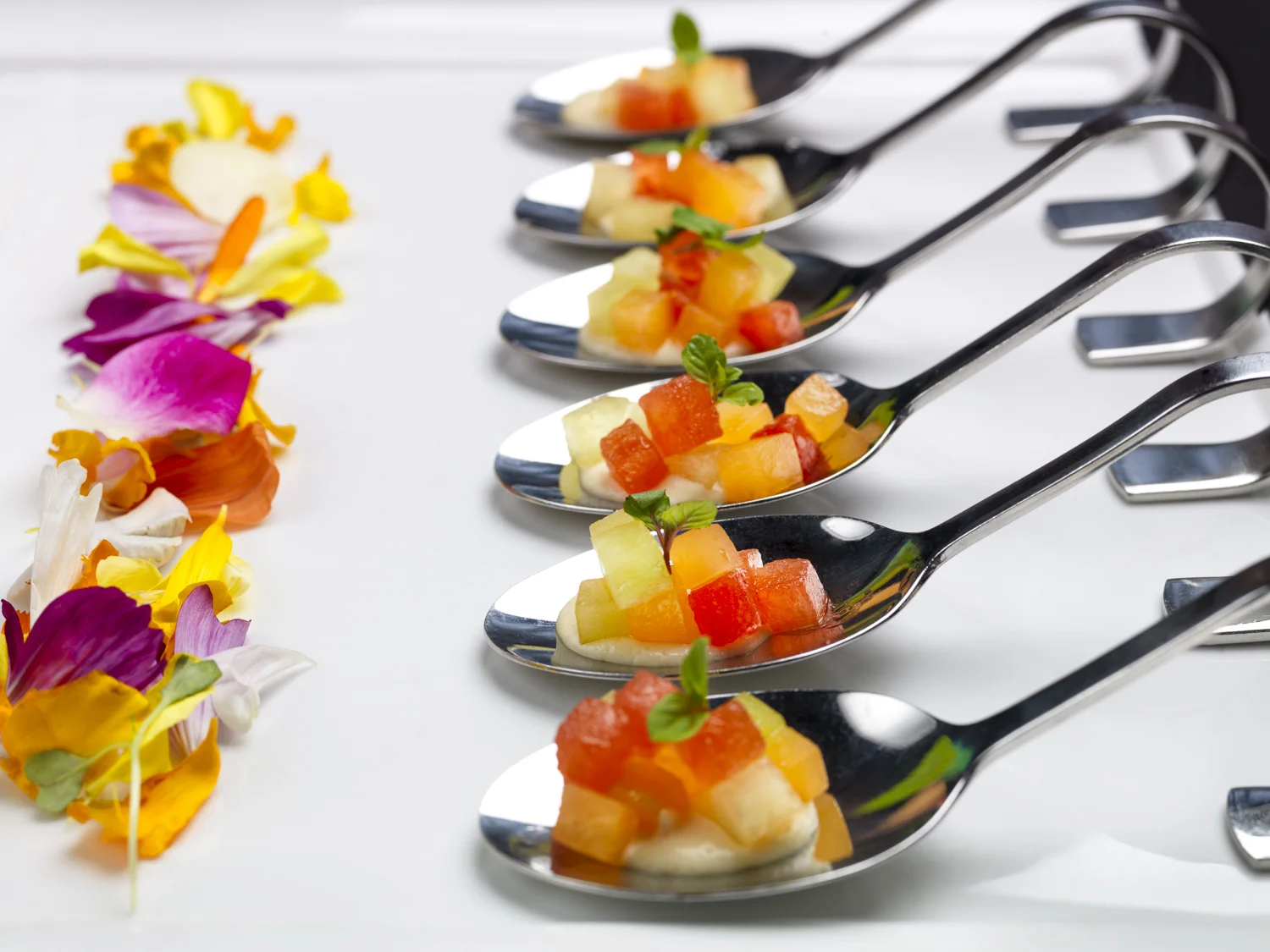 HA_EventFood_027F_WS.jpg