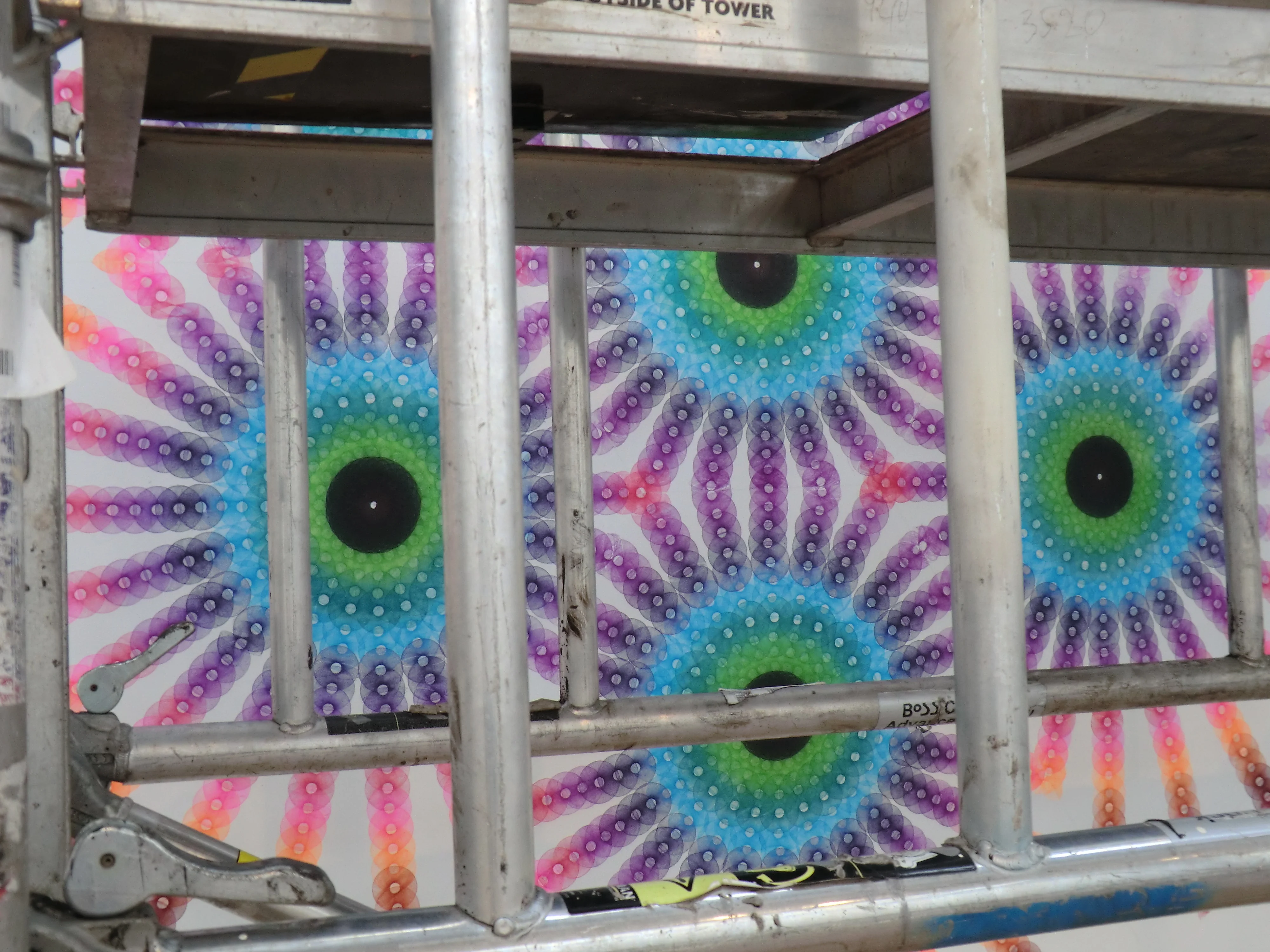 Beauty Rolls On.....