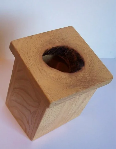 Tip Box made of oak. Why knot leave a tip for someone?