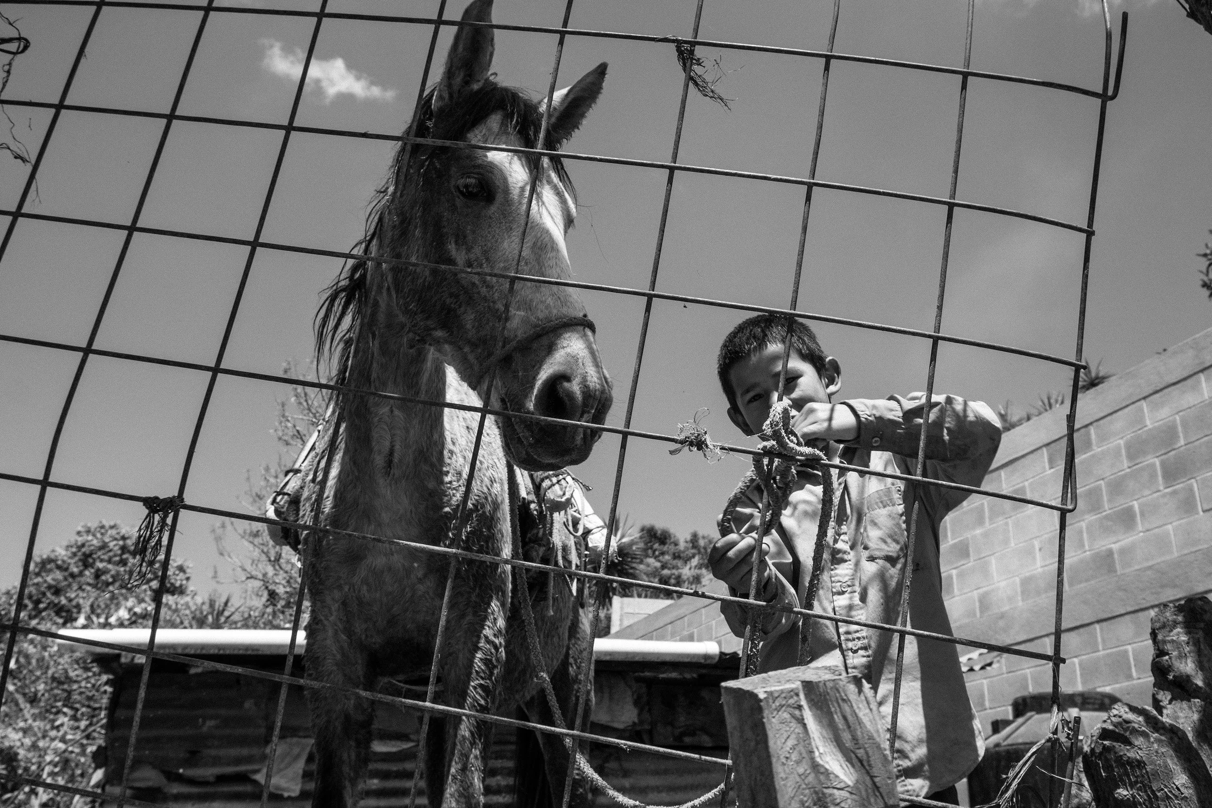 A young Mayan boy ties up his horse in the highland village of Las Joyas.