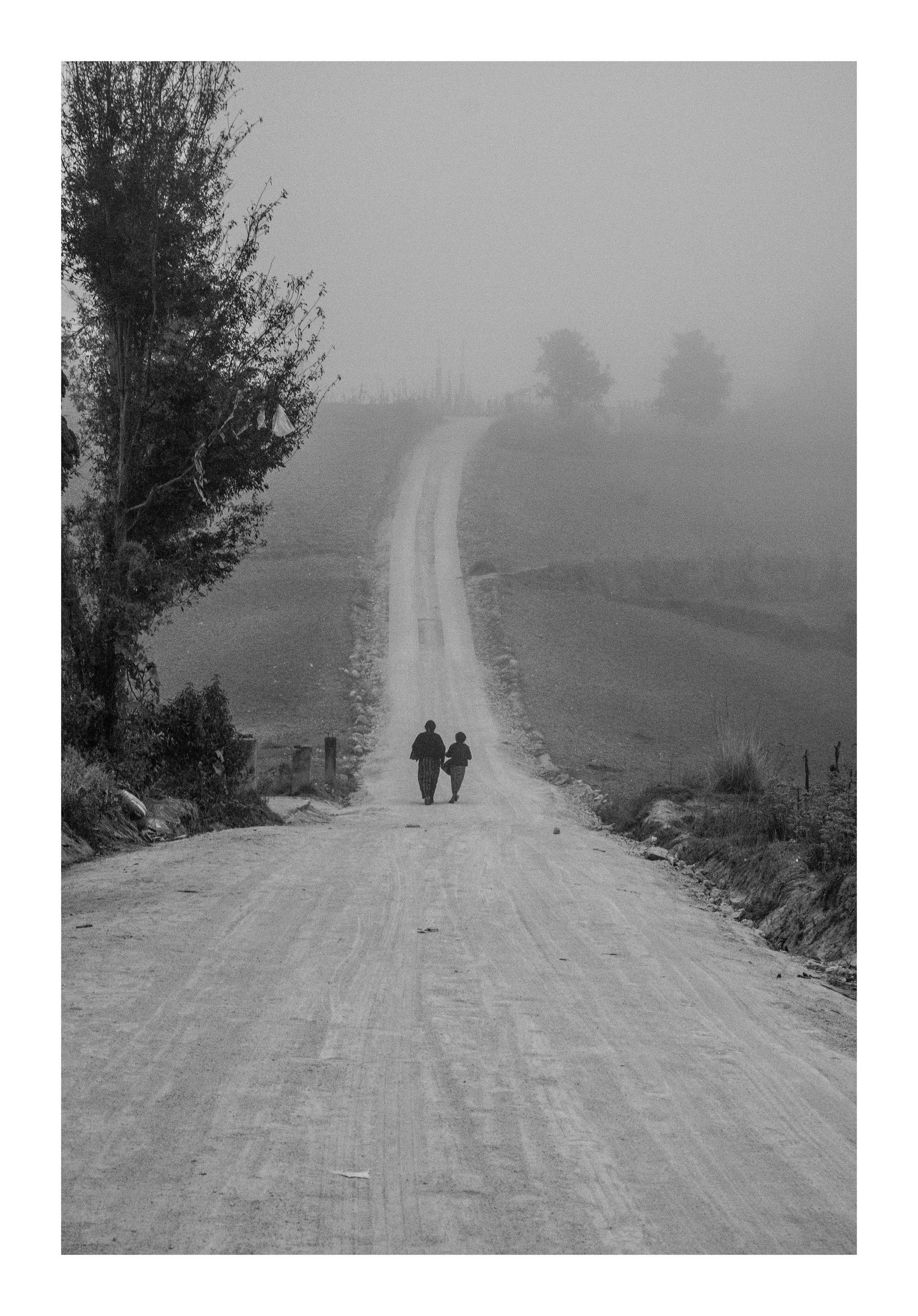 16.fog.cory.zimmerman.web.jpg