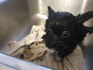 brady bath time.JPG