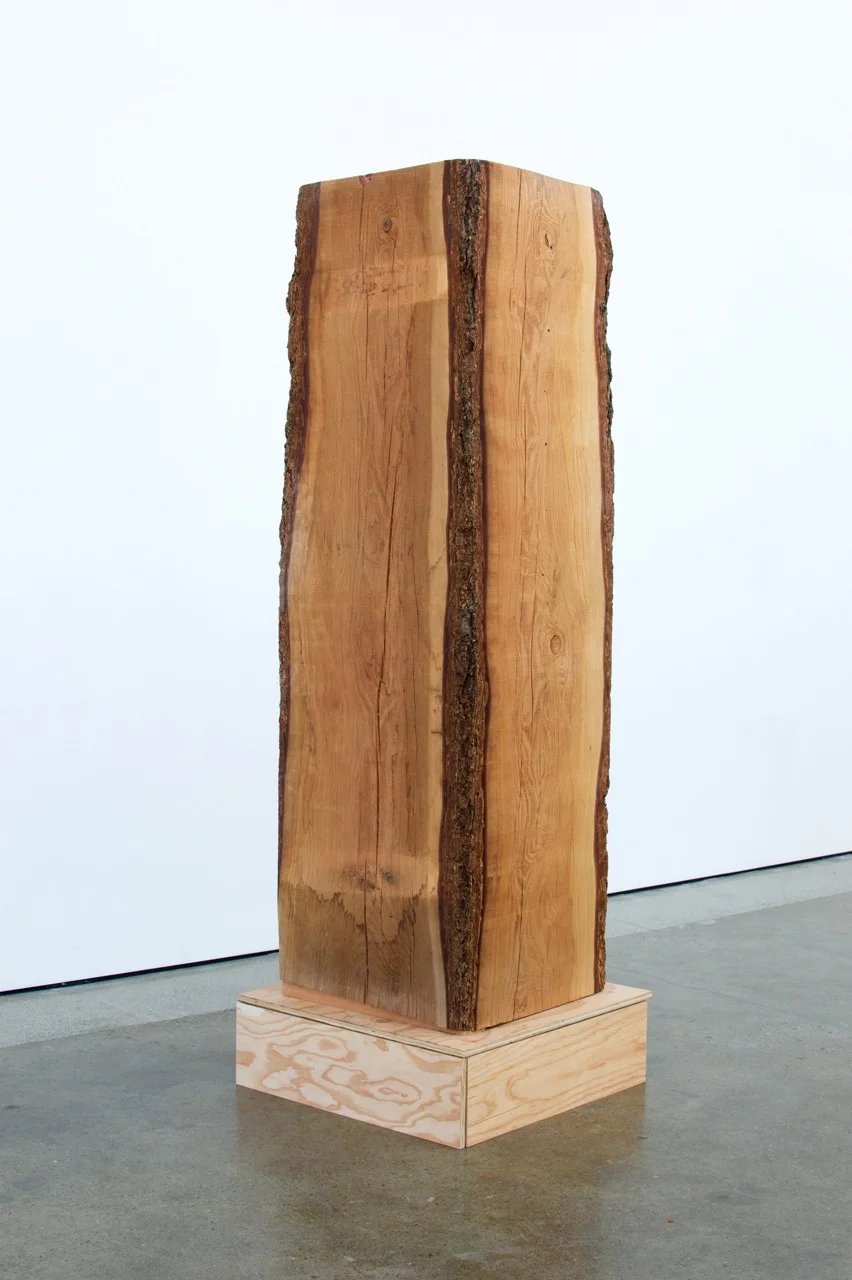 The Visitor (Smooth Face Out), Dan Webb, 2016.