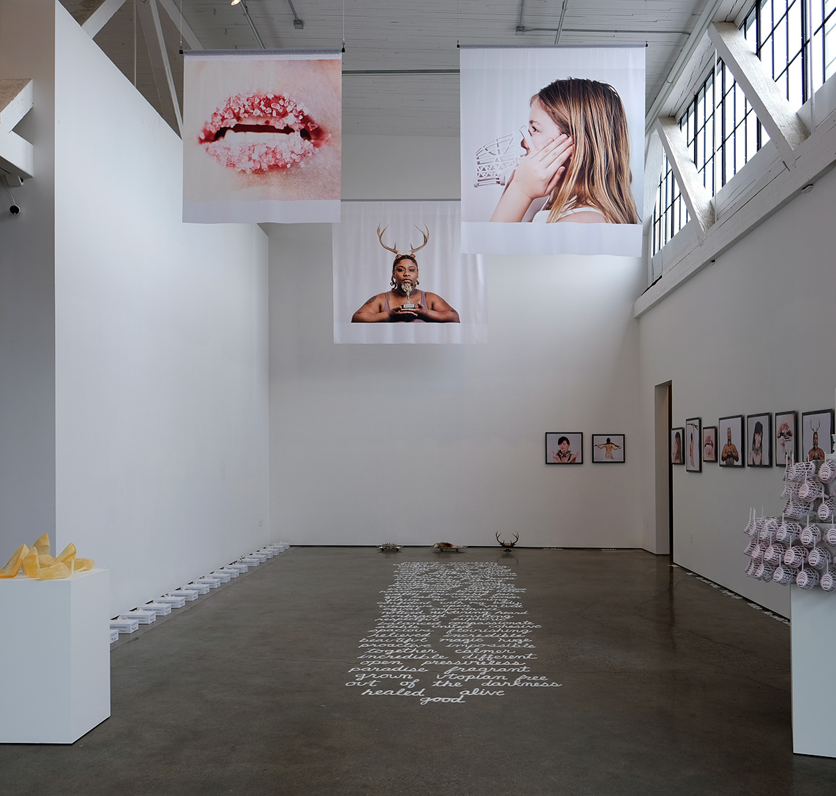 Michelle de la Vega's "The Sugar Project"