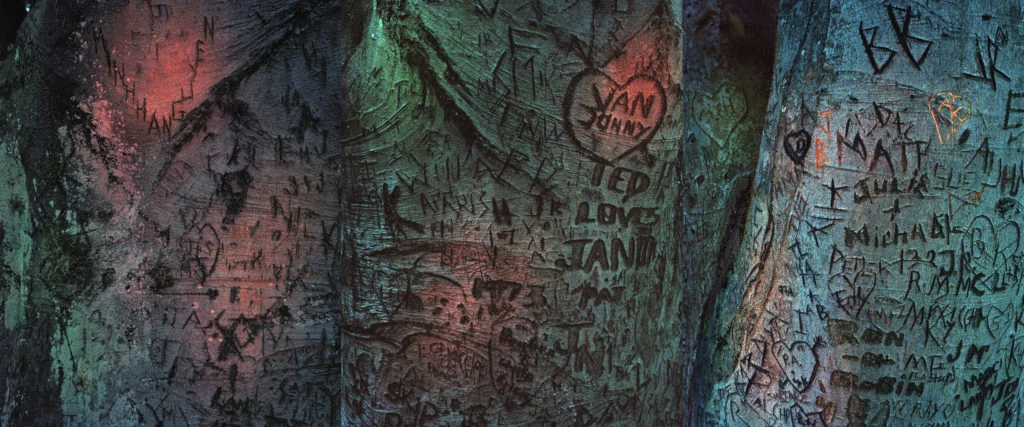 Eirik Johnson, ZOO, 2013