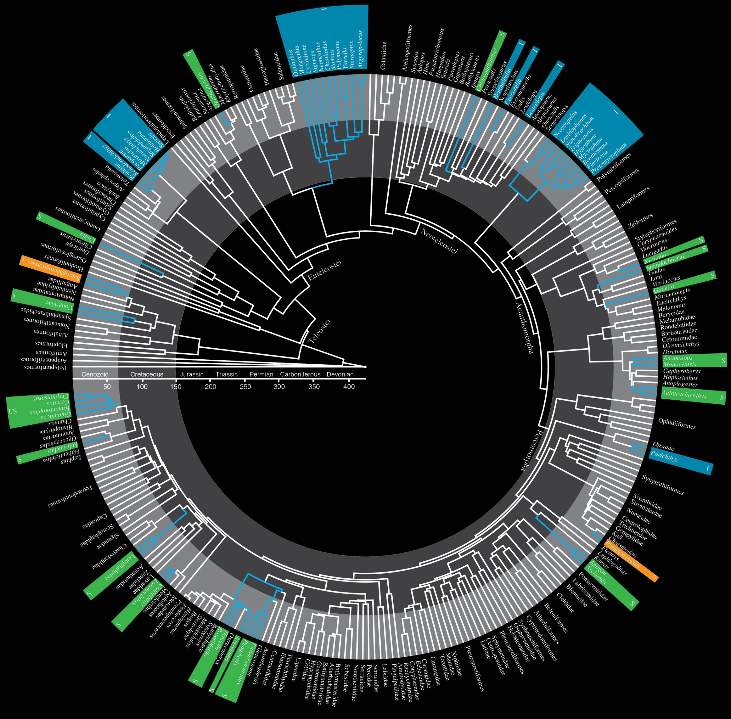 Circle_Tree_Base2.jpg