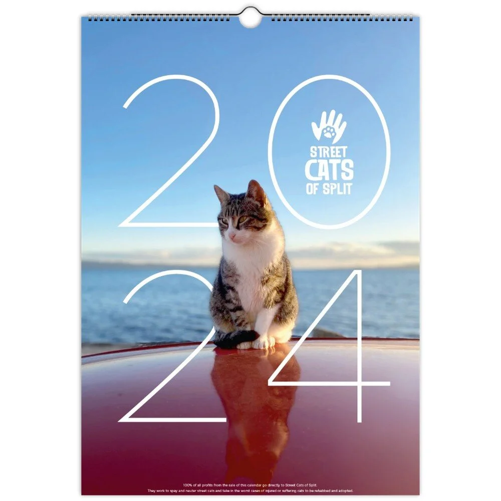 tmp-378-pqMA9O5K8PPk