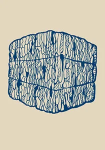 PRC_icons_bale300.jpg