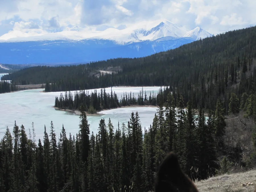 Alaska_-_Canon_Lou_225_fs.JPG