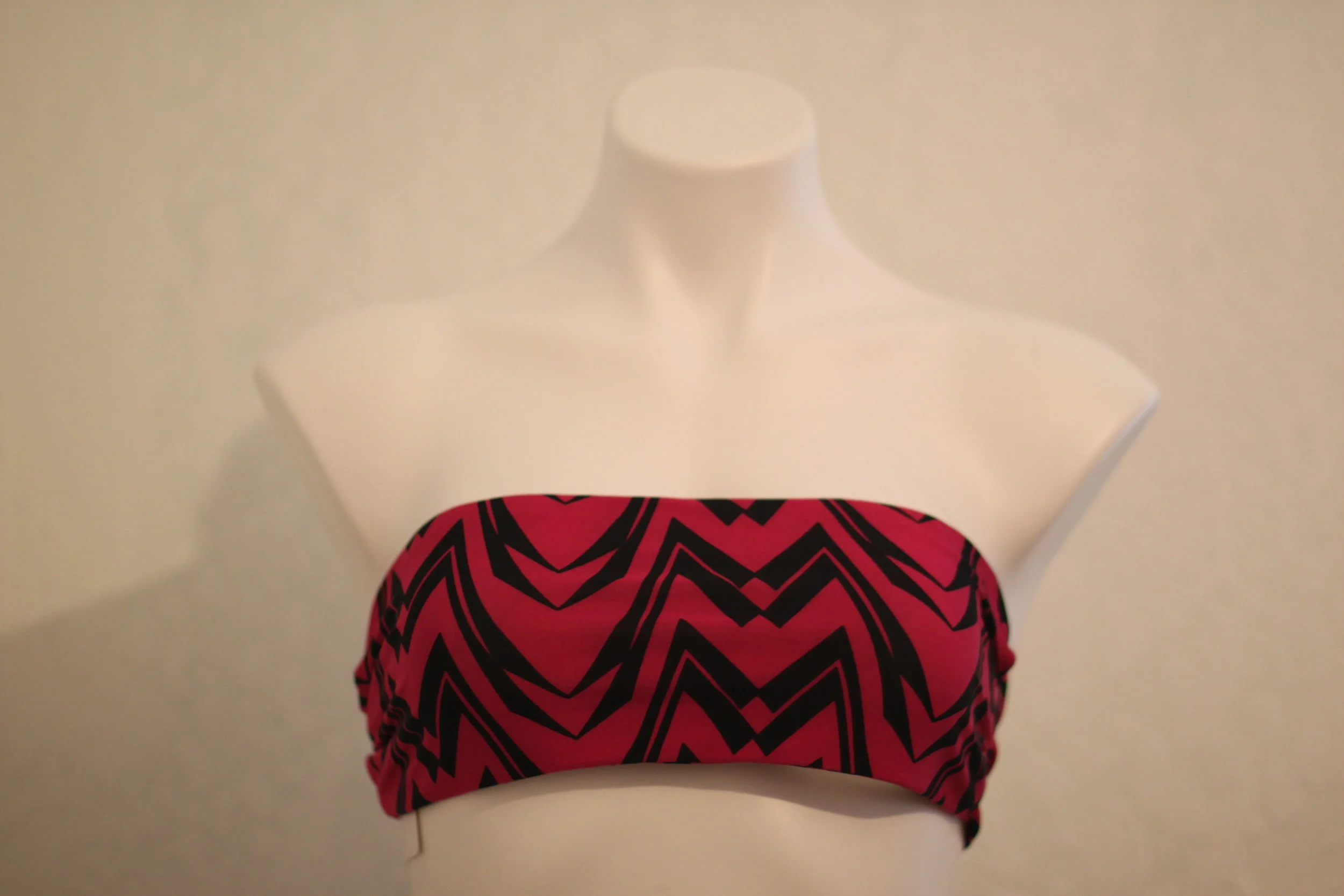 palm springs raspberry artzag.JPG