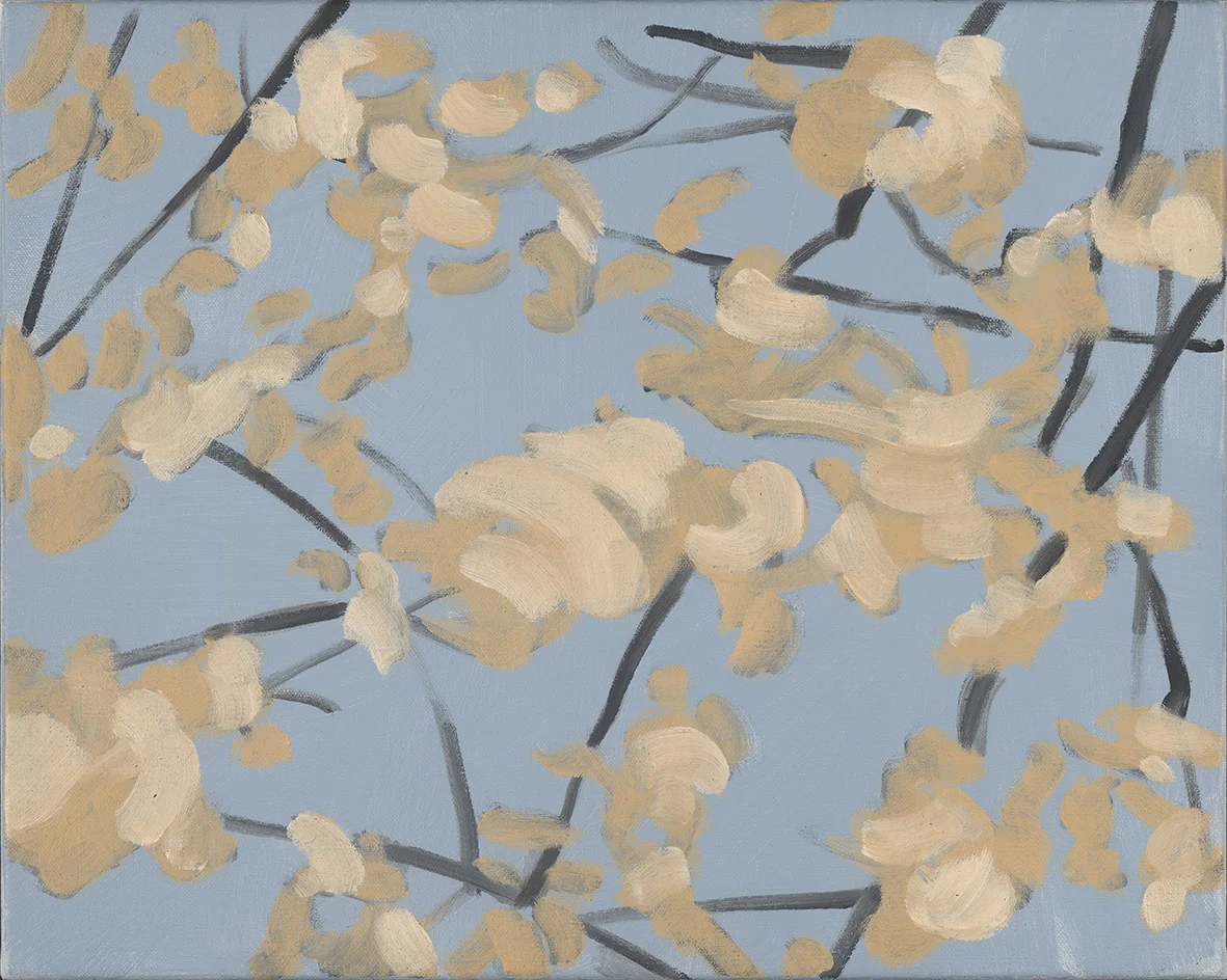 Blossum Study , 2016, oil on linen, 41 x 51cm Nearly Always Looking Up To enquire about this work please contact Robin Gibson Gallery