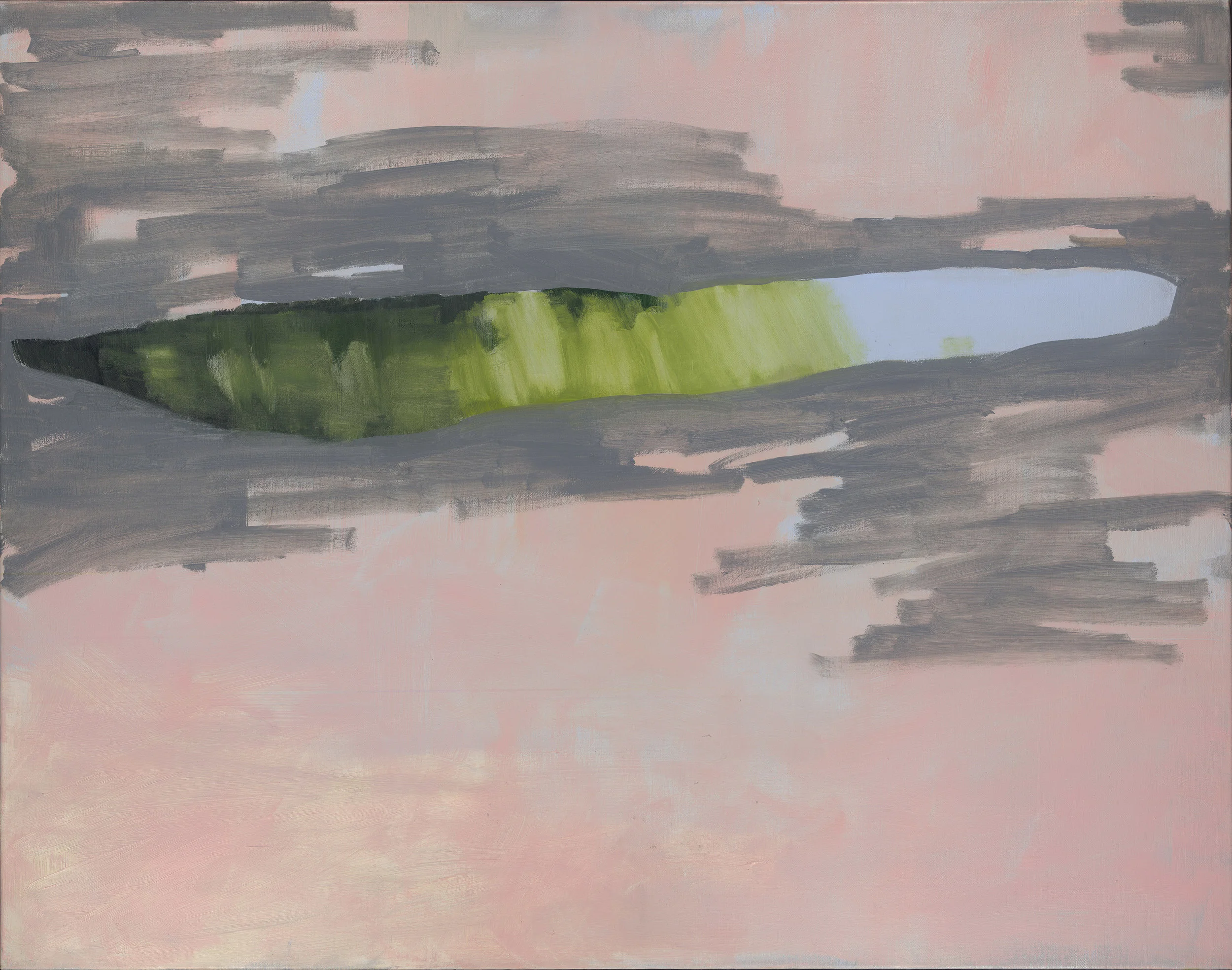 Puddle , 2016, oil on linen, 83.5 x 107cm Nearly Always Looking Up To enquire about this work please contact Robin Gibson Gallery