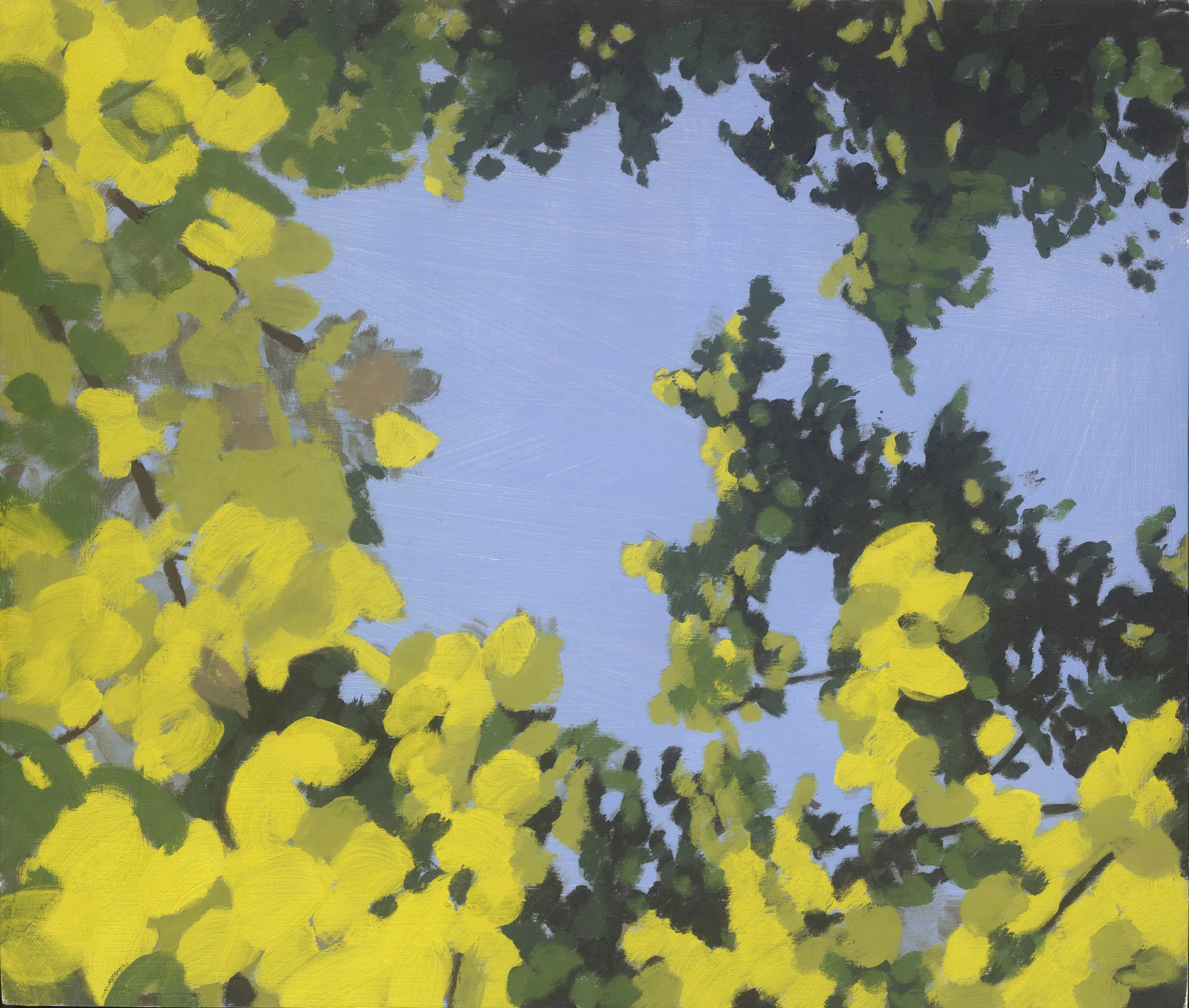 Yellow Canopy Study , 2016, oil on board, 39 x 45.5 Nearly Always Looking Up Sold