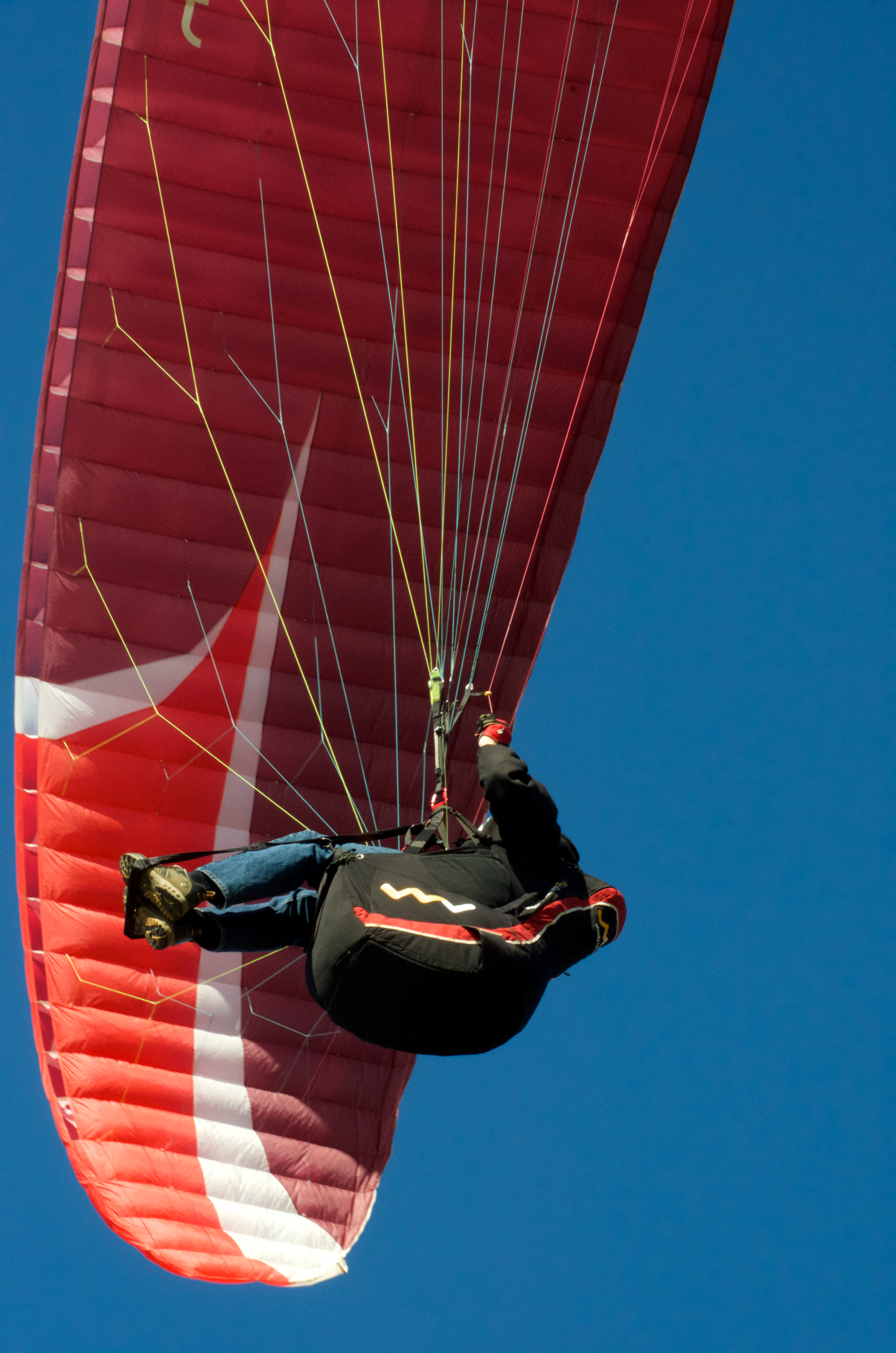 Paragliders 21.jpg