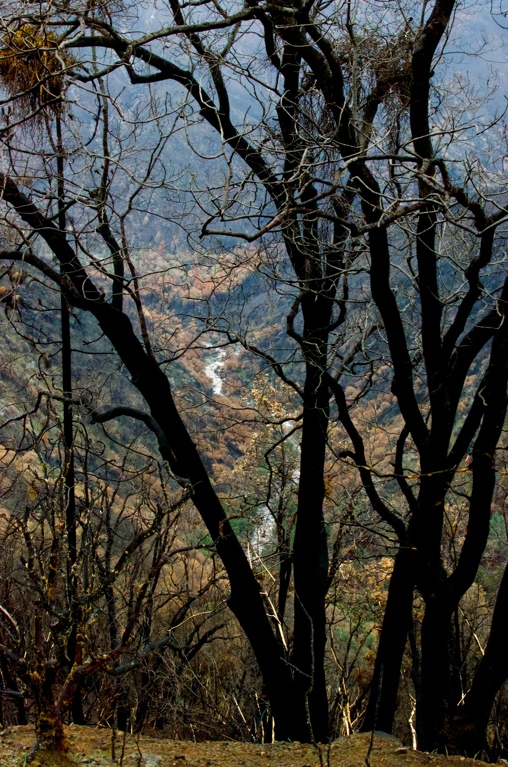 JWA_5981.jpg