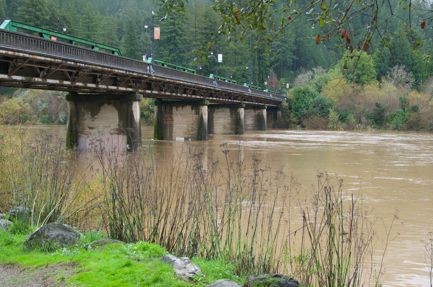 December 11th, 2014 Monte Rio, California, Russian River