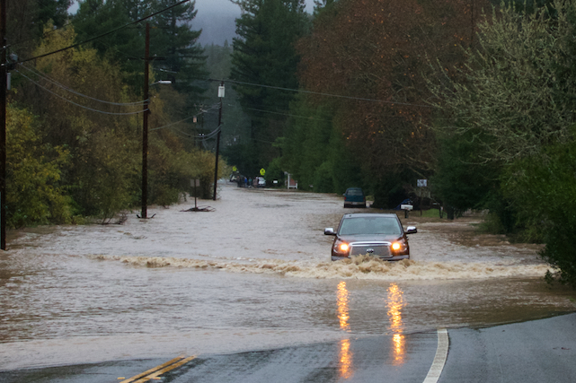 December 11th, 2014. Guerneville, California Armstrong Woods Rd.