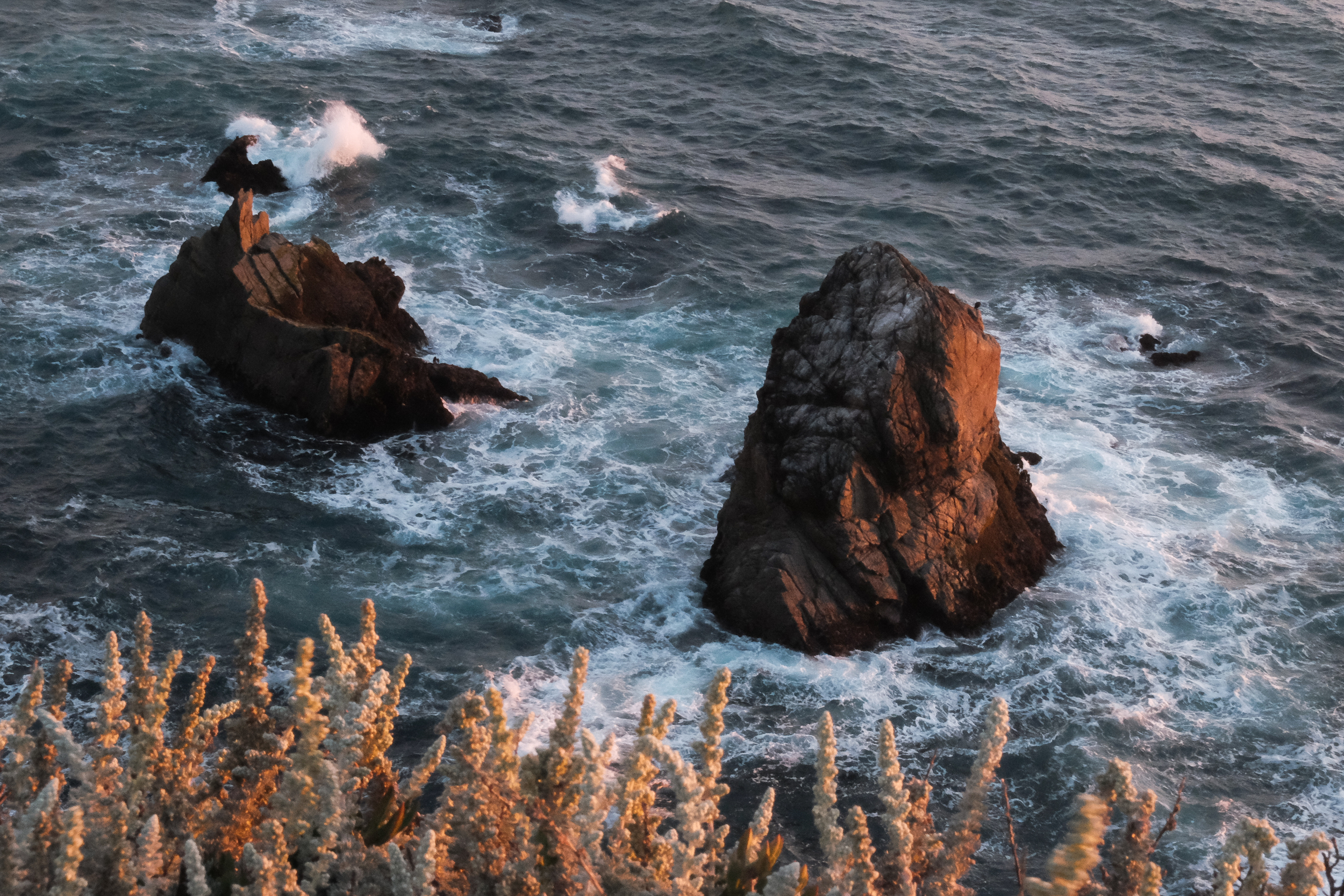Sonoma, California Coast. Bodega Head on 6-20-16, first day of summer.