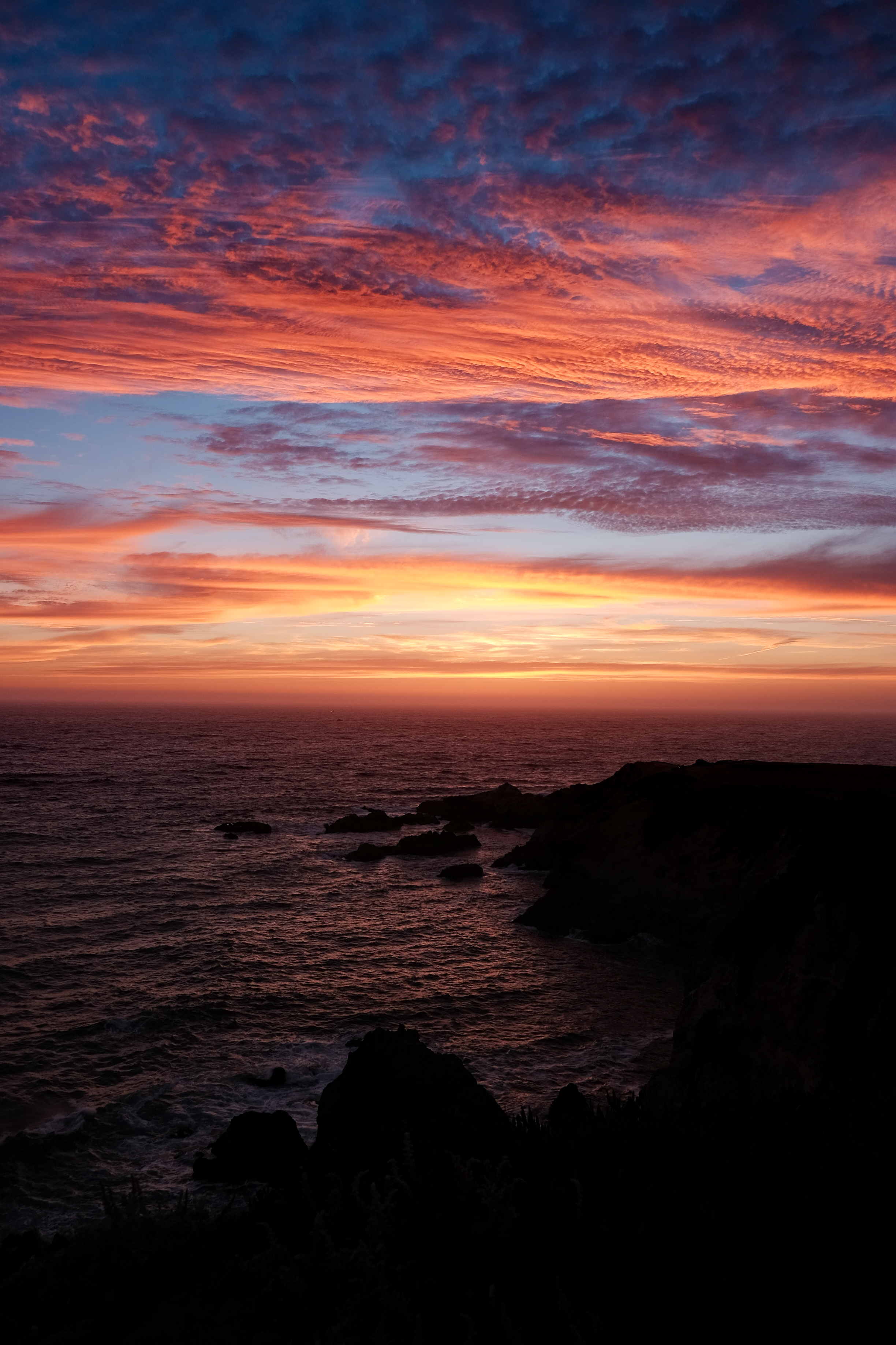 Sonoma, California Coast. &nbsp;Bodega Head on 6-20-16, first day of summer.