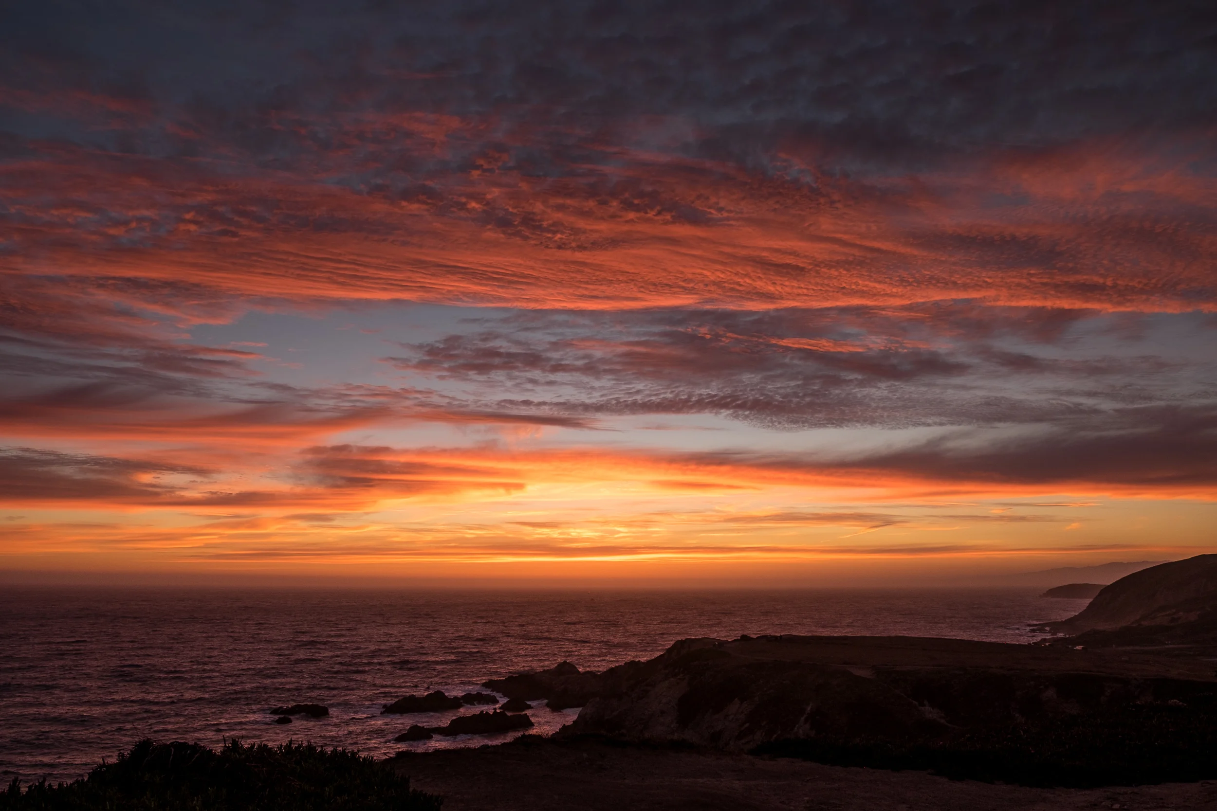 Sonoma, California Coast. Bodega Head on 6-20-16, first day of summer.
