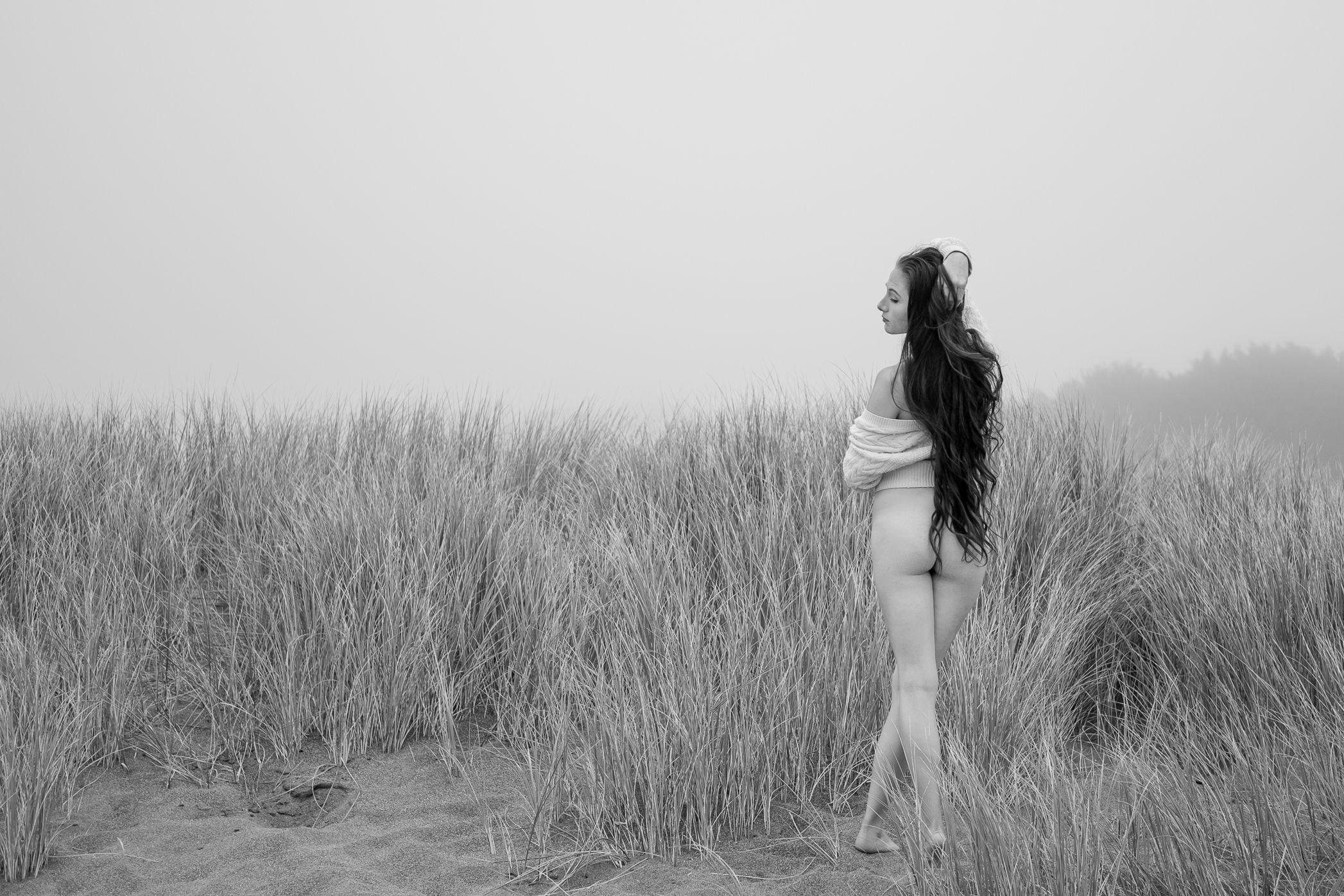 Fuji XT1, 35mm f2 R WR Lens, Northern California Coast. Converted to B&W in Lightroom.
