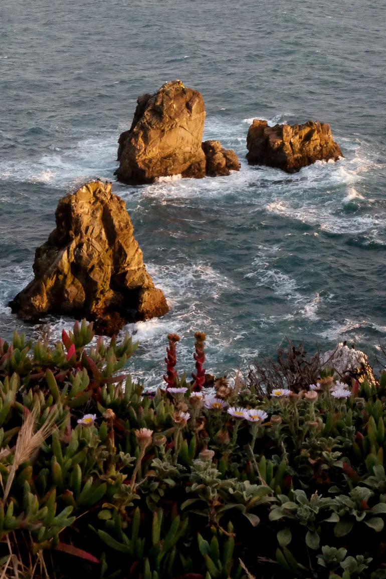 BedegaHeadSunset-1.jpg